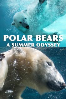 Polar Bears 2012