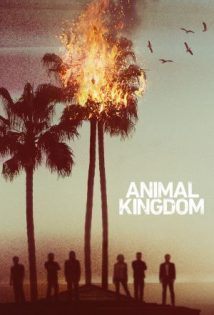 Animal Kingdom S01