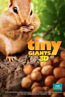 Tiny Giants 2014