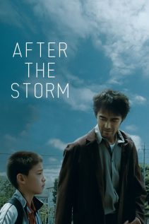 After the Storm 2016