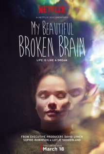 My Beautiful Broken Brain 2016