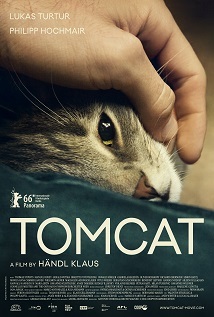 Tomcat 2016