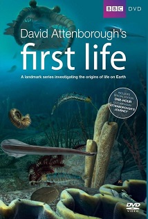 First Life 2010