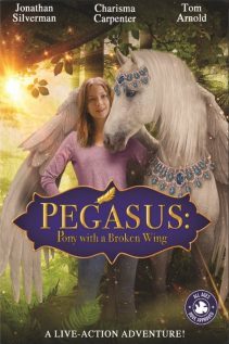 Pegasus Pony With a Broken Wing 2019