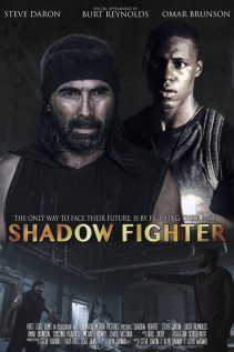 Shadow Fighter 2017