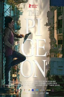 The Pigeon 2018