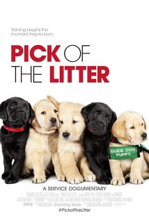 Pick of the Litter 2018