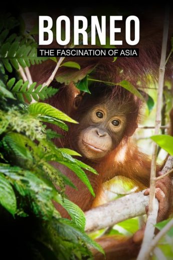 Borneo The Fascination of Asia 2018