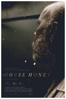 Cavalo Dinheiro 2014