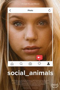 Social Animals 2019