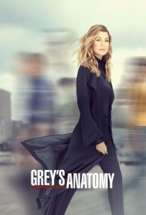 Greys Anatomy S16E06