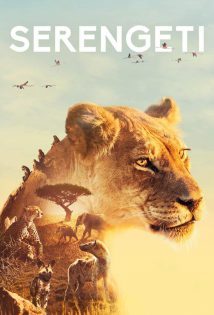 Serengeti S01