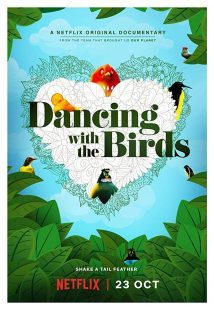 Dancing with the Birds 2019