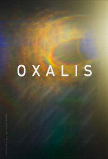 Oxalis 2018