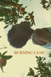 Burning Cane 2019
