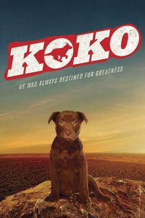 Koko A Red Dog Story 2019