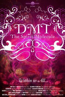 DMT The Spirit Molecule 2010