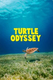 Turtle Odyssey 2018