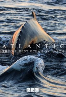 Atlantic The Wildest Ocean on Earth S01