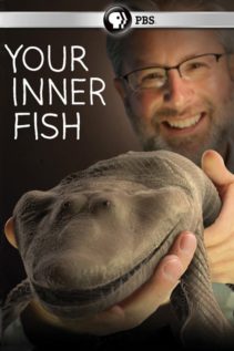 Your Inner Fish S01