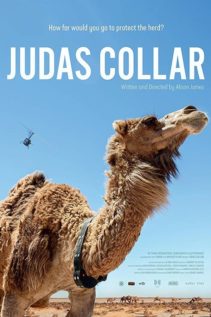 Judas Collar 2018