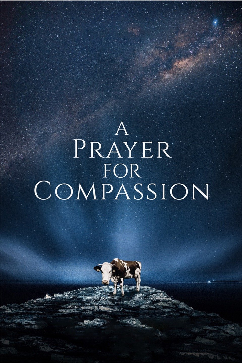 A Prayer for Compassion 2019