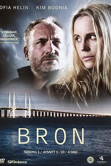 The Bridge 1° Temporada Completa