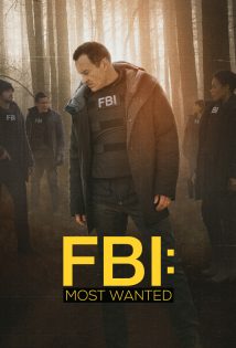 FBI Most Wanted S02E10