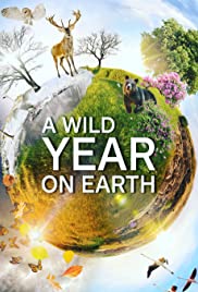 A Wild Year on Earth S01E01
