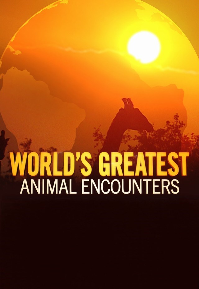 World’s Greatest Animal Encounters S01
