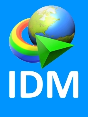 Internet Download Manager 6 41 Build 12 Full